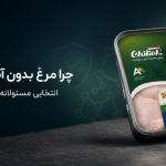 مرغ بدون آنتی بیوتیک چیلیک