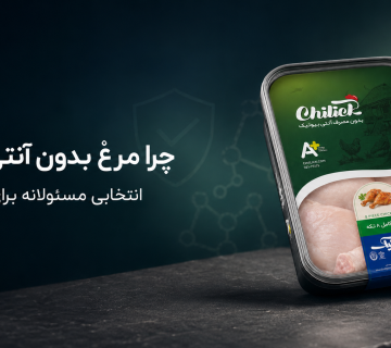 مرغ بدون آنتی بیوتیک چیلیک