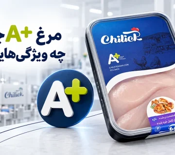 مرغ A+ چیلیک